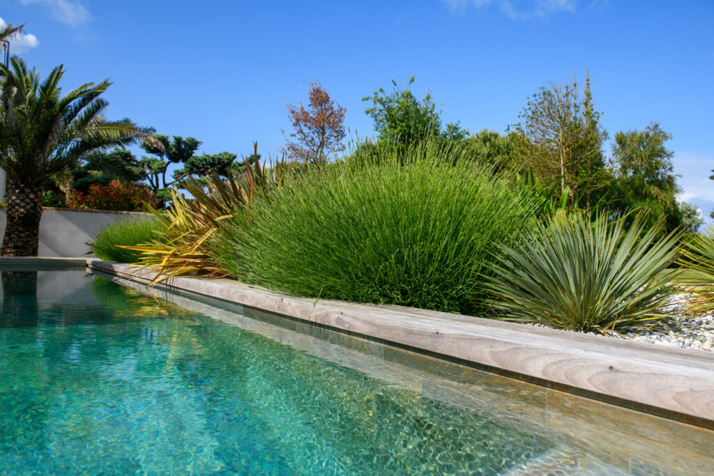 240524 Paysagiste Robin-038