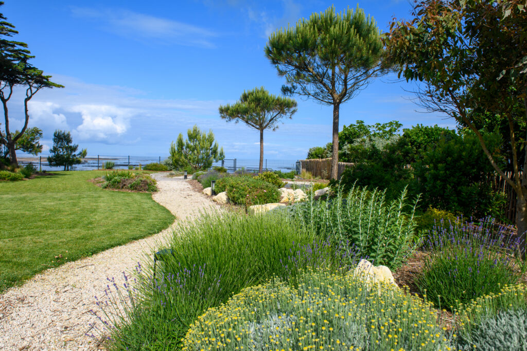 240524 Paysagiste Robin-040