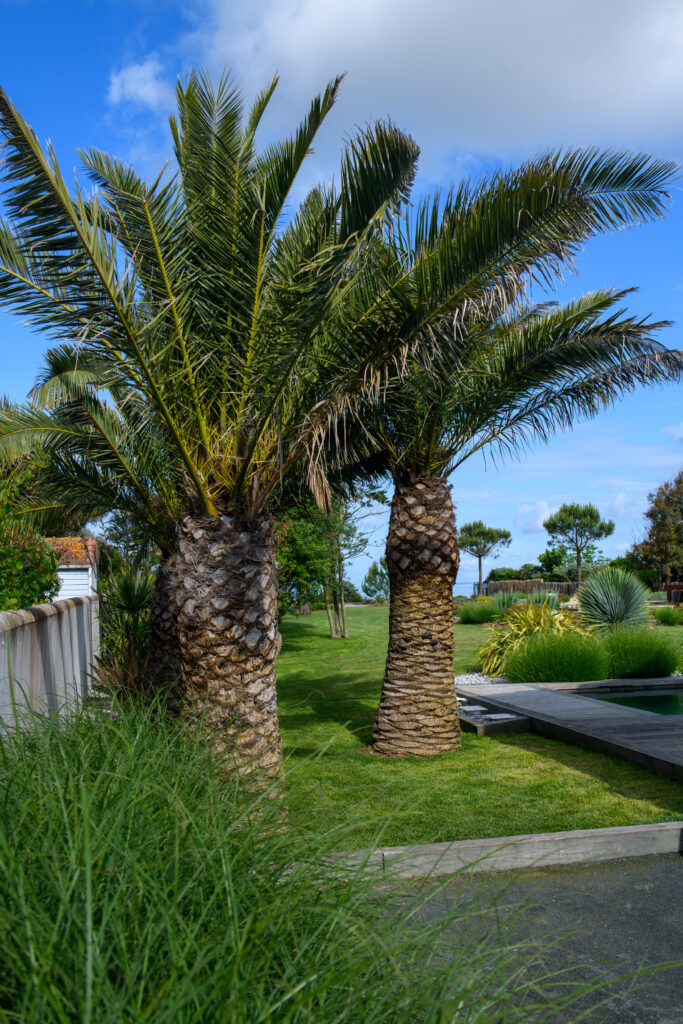 240524 Paysagiste Robin-036